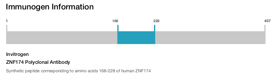 ZNF174 Polyclonal Antibody