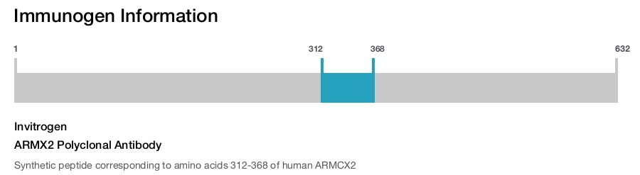 ARMX2 Polyclonal Antibody