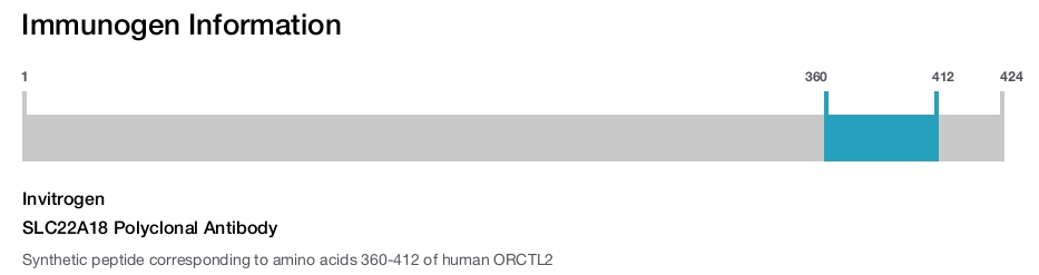 SLC22A18 Polyclonal Antibody