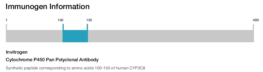 Cytochrome P450 Pan Polyclonal Antibody