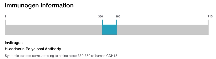 H-cadherin Polyclonal Antibody