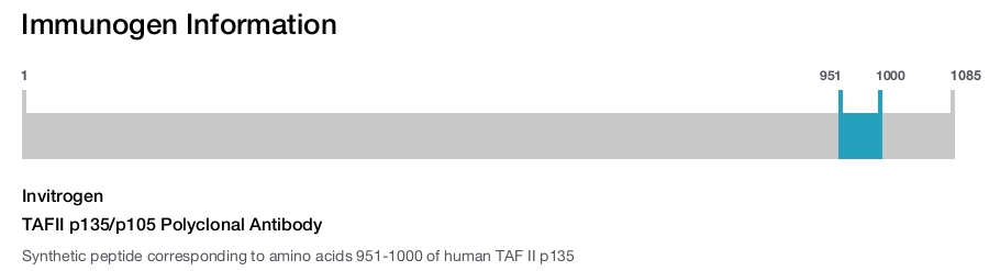 TAFII p135/p105 Polyclonal Antibody
