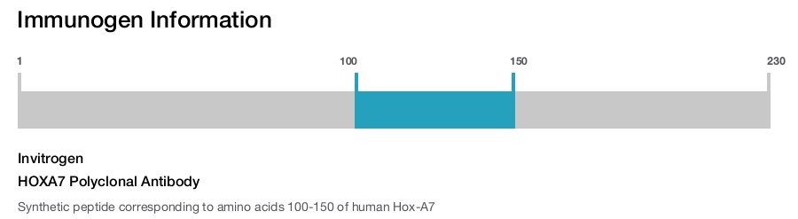 HOXA7 Polyclonal Antibody