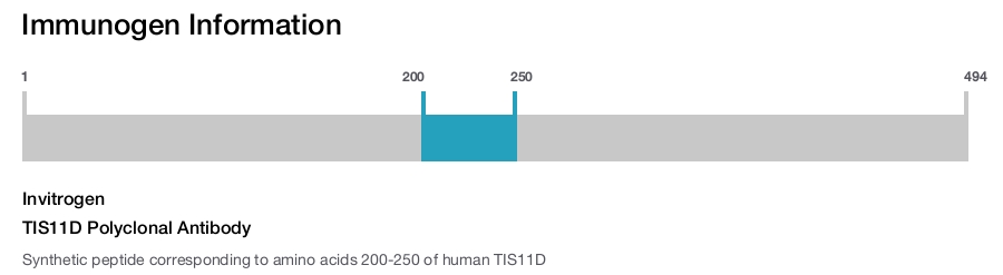 TIS11D Polyclonal Antibody