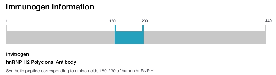 hnRNP H2 Polyclonal Antibody