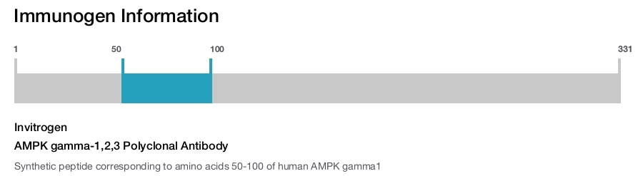 AMPK gamma-1,2,3 Polyclonal Antibody