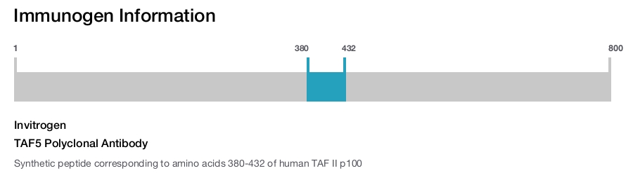 TAF5 Polyclonal Antibody