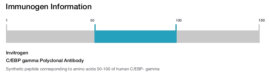 C/EBP gamma Polyclonal Antibody