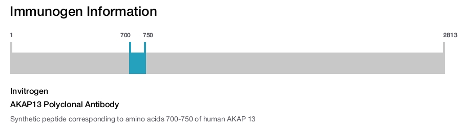AKAP13 Polyclonal Antibody