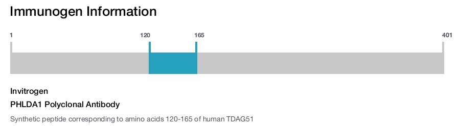 PHLDA1 Polyclonal Antibody