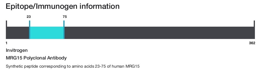MRG15 Polyclonal Antibody