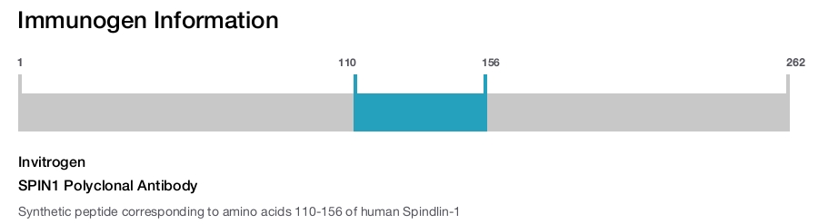 SPIN1 Polyclonal Antibody