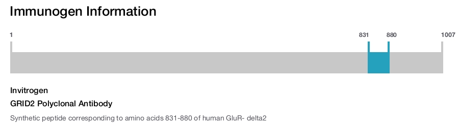 GRID2 Polyclonal Antibody