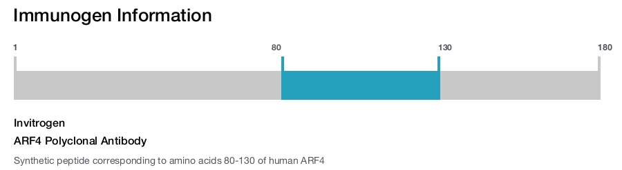 ARF4 Polyclonal Antibody