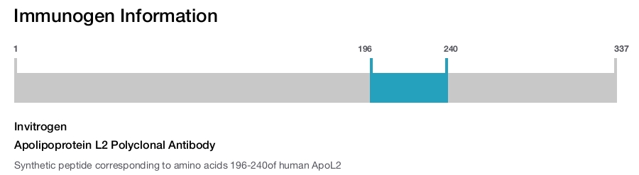 Apolipoprotein L2 Polyclonal Antibody