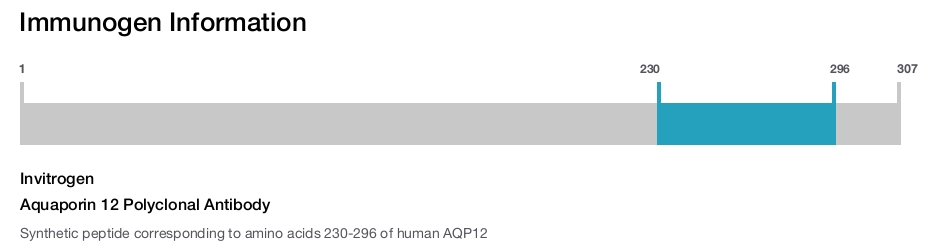 Aquaporin 12 Polyclonal Antibody