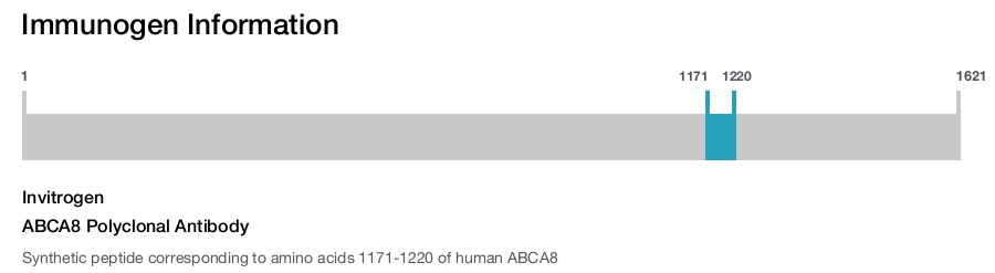 ABCA8 Polyclonal Antibody