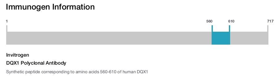 DQX1 Polyclonal Antibody