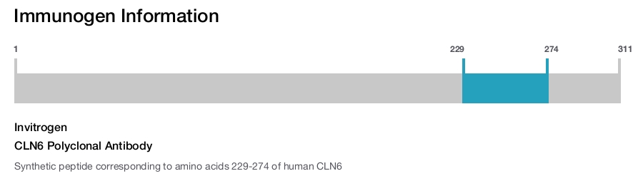 CLN6 Polyclonal Antibody
