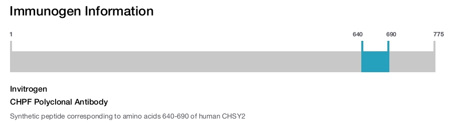 CHPF Polyclonal Antibody