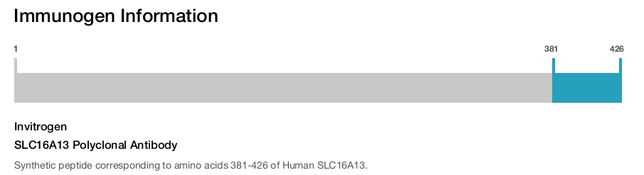 SLC16A13 Polyclonal Antibody