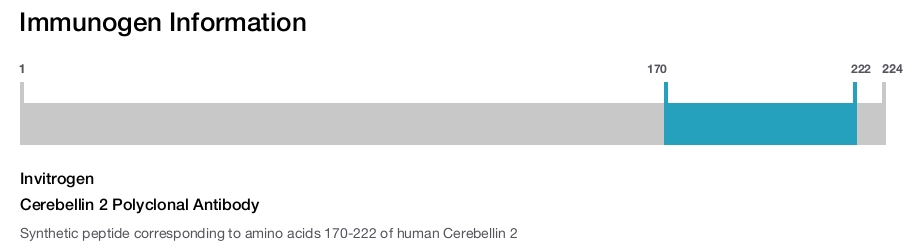 Cerebellin 2 Polyclonal Antibody