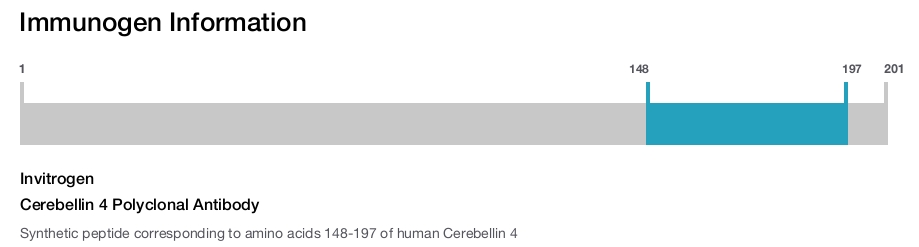 Cerebellin 4 Polyclonal Antibody