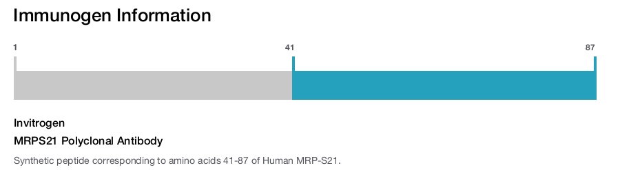 MRPS21 Polyclonal Antibody
