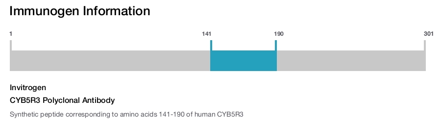 CYB5R3 Polyclonal Antibody