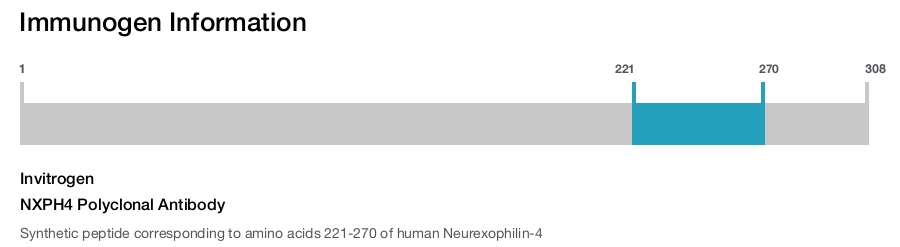 NXPH4 Polyclonal Antibody