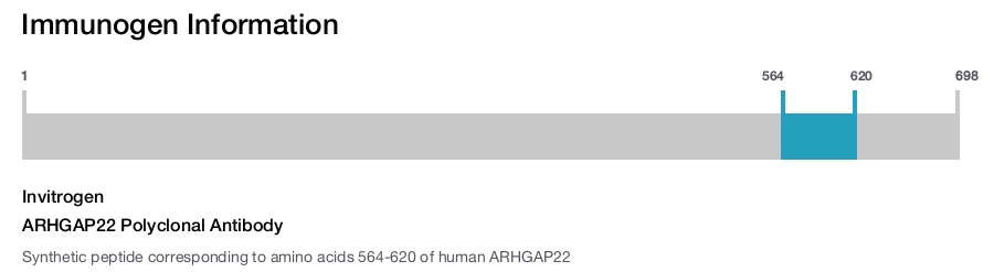 ARHGAP22 Polyclonal Antibody