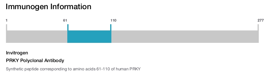 PRKY Polyclonal Antibody