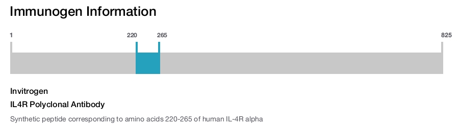 IL4R Polyclonal Antibody