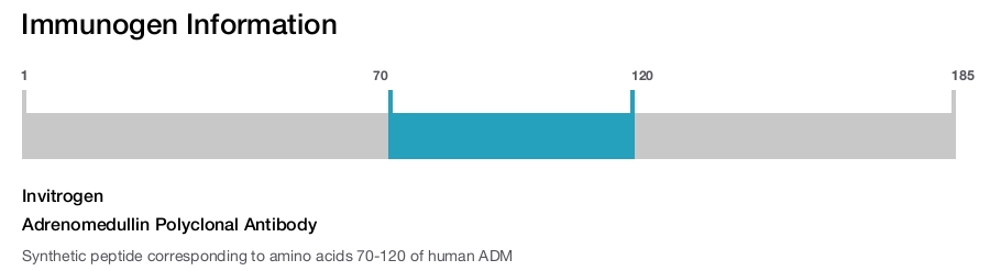 Adrenomedullin Polyclonal Antibody