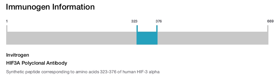 HIF3A Polyclonal Antibody