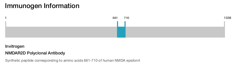 NMDAR2D Polyclonal Antibody