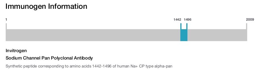 Sodium Channel Pan Polyclonal Antibody