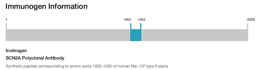 SCN2A Polyclonal Antibody