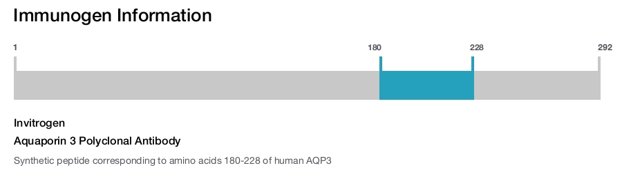 Aquaporin 3 Polyclonal Antibody
