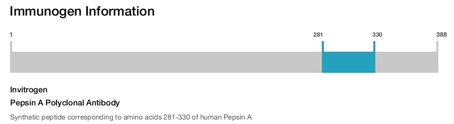 Pepsin A Polyclonal Antibody
