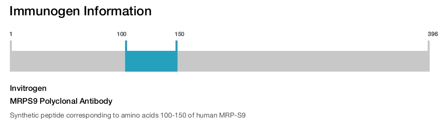 MRPS9 Polyclonal Antibody