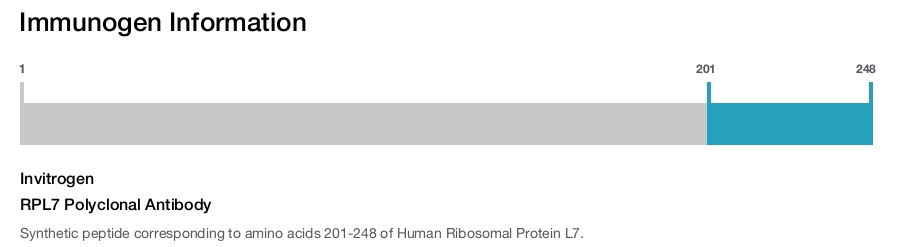RPL7 Polyclonal Antibody