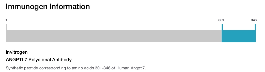 ANGPTL7 Polyclonal Antibody