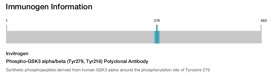 Phospho-GSK3 alpha/beta (Tyr279, Tyr216) Polyclonal Antibody