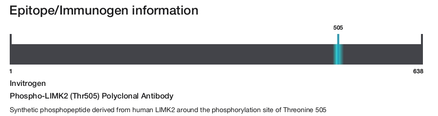 Phospho-LIMK2 (Thr505) Polyclonal Antibody