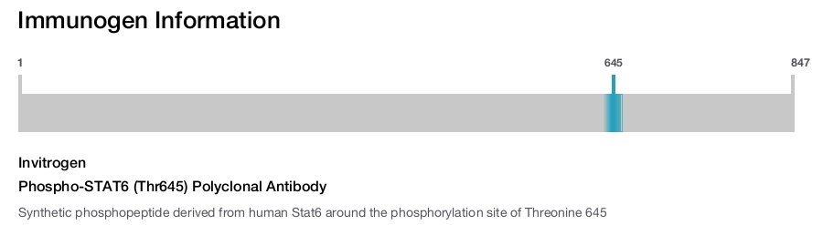 Phospho-STAT6 (Thr645) Polyclonal Antibody