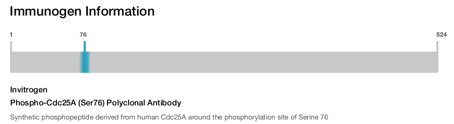 Phospho-Cdc25A (Ser76) Polyclonal Antibody