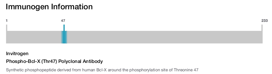 Phospho-Bcl-X (Thr47) Polyclonal Antibody