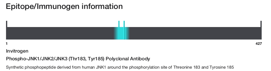 Phospho-JNK1/JNK2/JNK3 (Thr183, Tyr185) Polyclonal Antibody