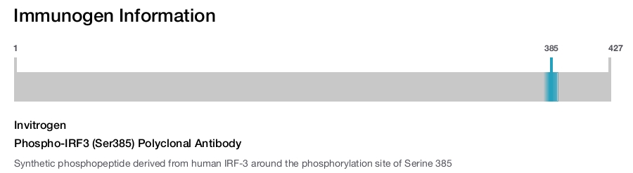 Phospho-IRF3 (Ser385) Polyclonal Antibody